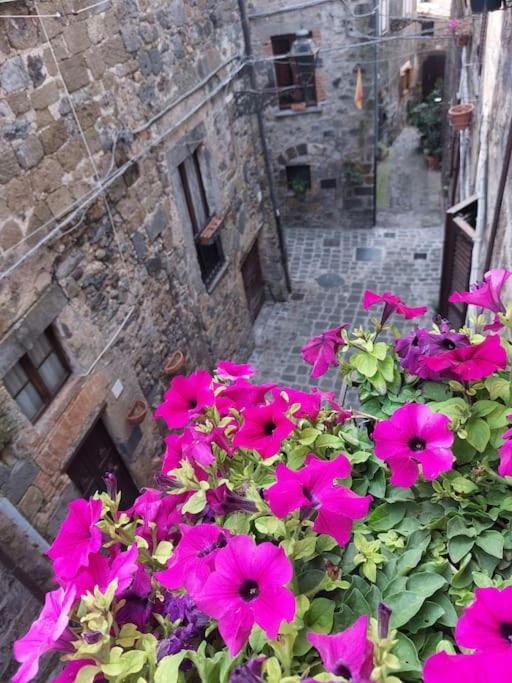 Casa Rosita Vista Lago Bolsena Bagian luar foto