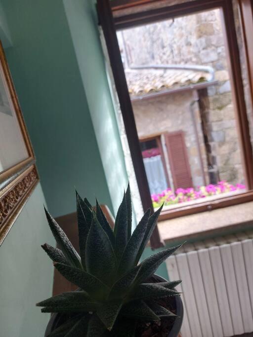 Casa Rosita Vista Lago Bolsena Bagian luar foto
