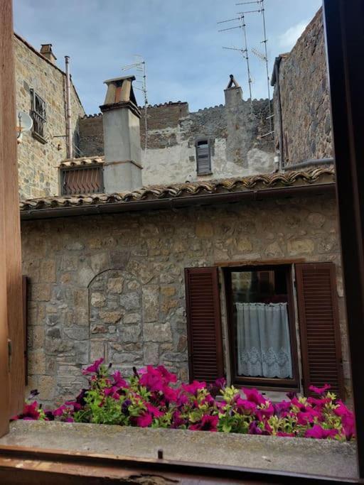 Casa Rosita Vista Lago Bolsena Bagian luar foto