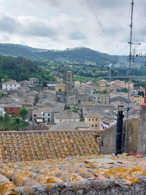 Casa Rosita Vista Lago Bolsena Bagian luar foto